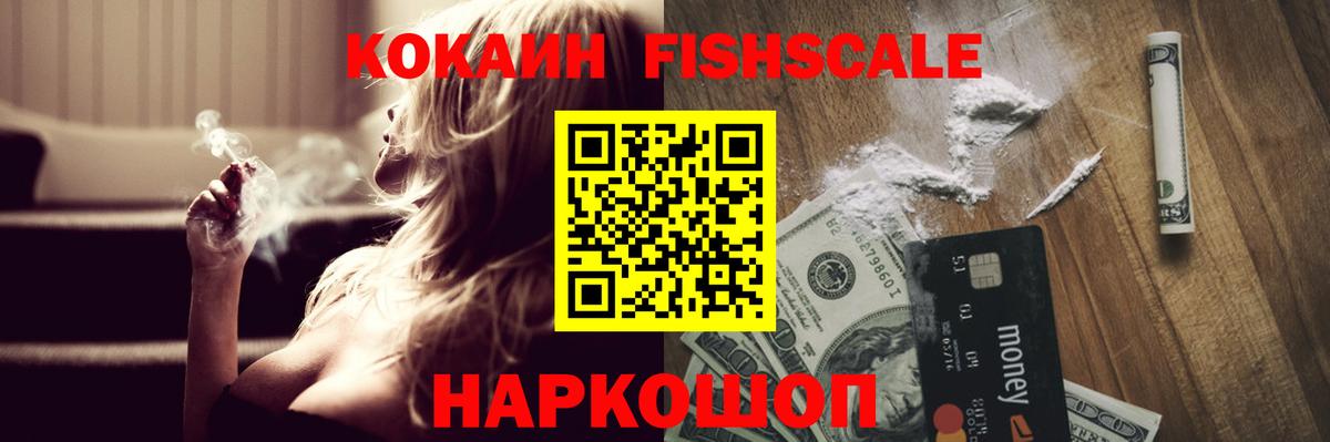 Cocaine Fish Scale  Вход с VPN  Богородицк  Cocaine Fish Scale 