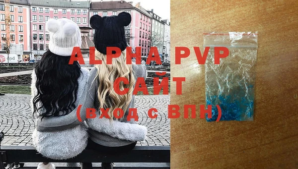 стафф Алзамай