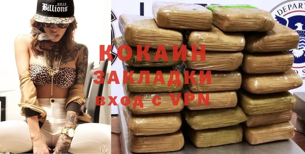 стафф Алзамай
