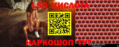 дмт Гусев