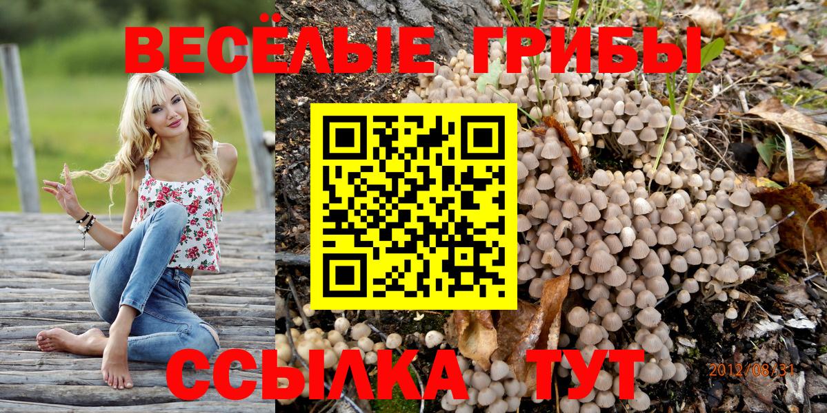 Псилоцибиновые грибы мухоморы Богородицк