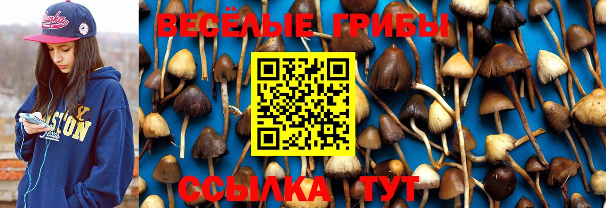 Псилоцибиновые грибы ЛСД  Вход с VPN  Богородицк  Псилоцибиновые грибы GOLDEN TEACHER 